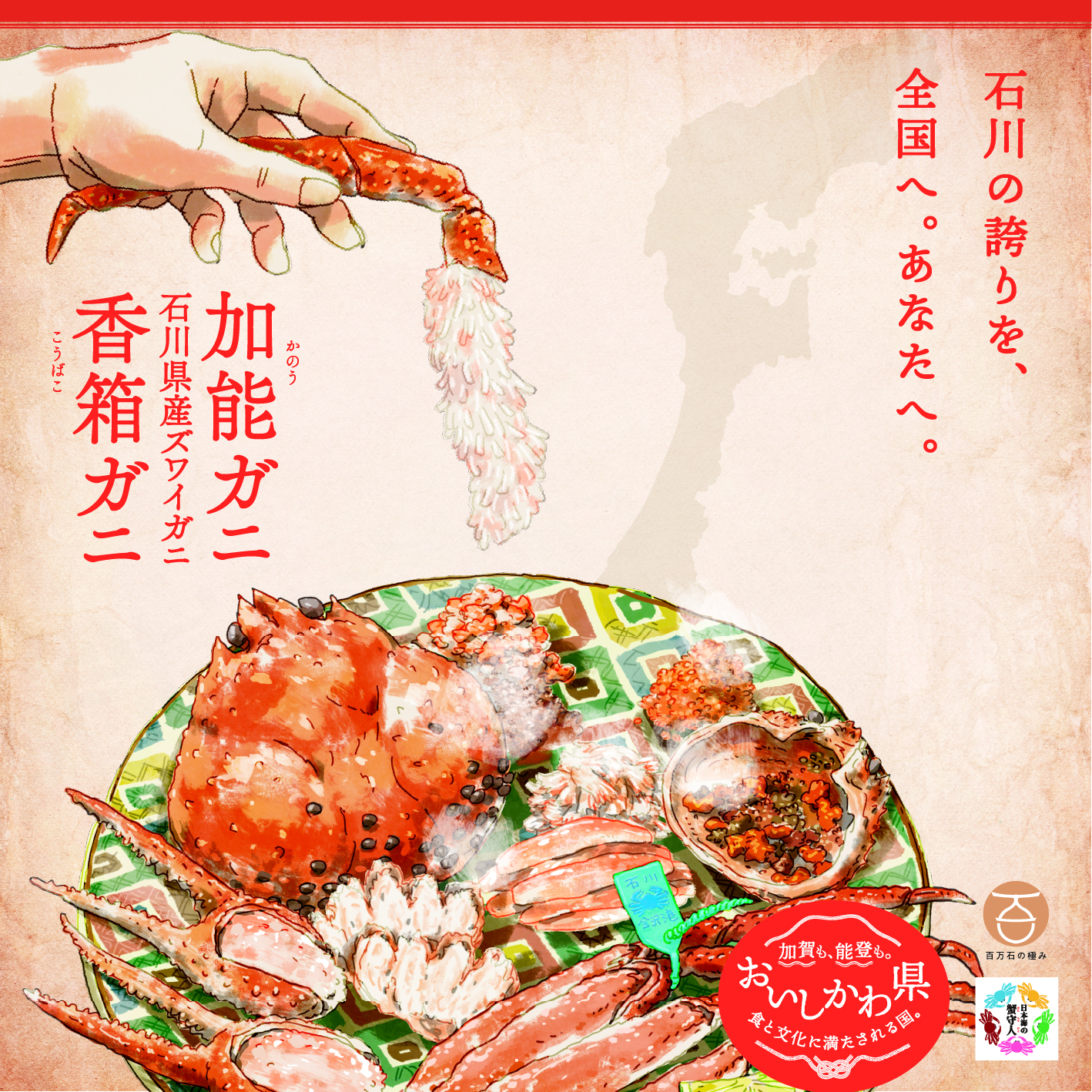 加能ガニ、香箱ガニ色々情報載せます！（R7更新！）