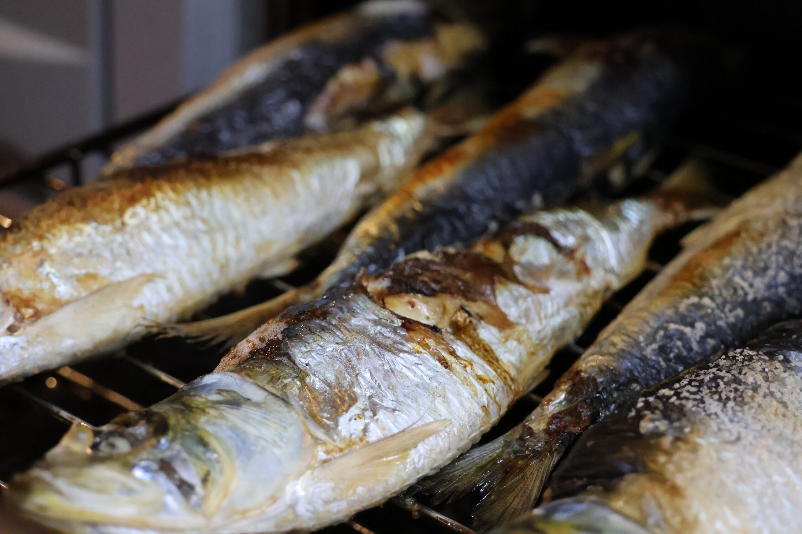 【食レポ】旬突入のマイワシを食す！