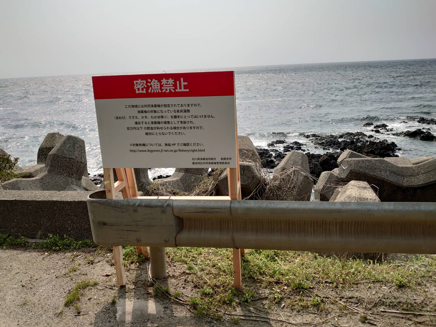 【これって密漁？】漁業権ってなに？